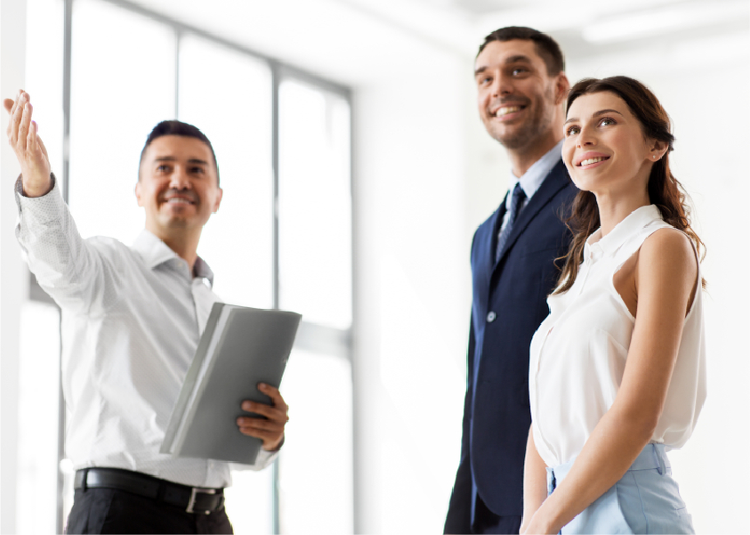 Fresh dates on palm tree